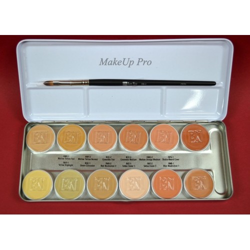 Ben Nye Concealer Palette NKP-12.  