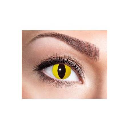 Catcher 601/Yellow cat