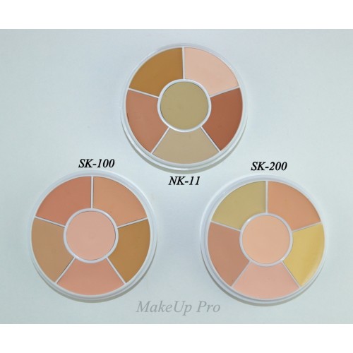 Ben Nye Media Pro Total Conceal-All Wheel 6 színnel, 28 g